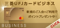 VISA法人